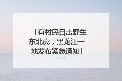 有村民目击野生东北虎，黑龙江一地发布紧急通知