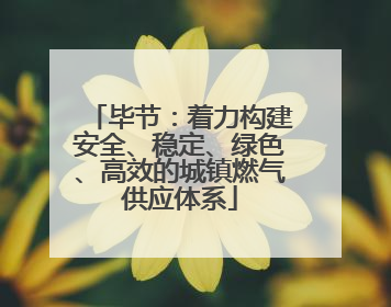 毕节：着力构建安全、稳定、绿色、高效的城镇燃气供应体系