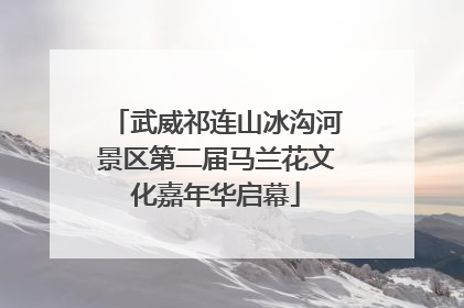 武威祁连山冰沟河景区第二届马兰花文化嘉年华启幕