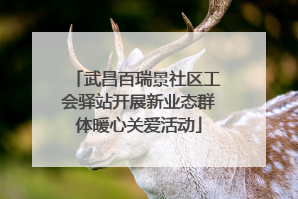 武昌百瑞景社区工会驿站开展新业态群体暖心关爱活动