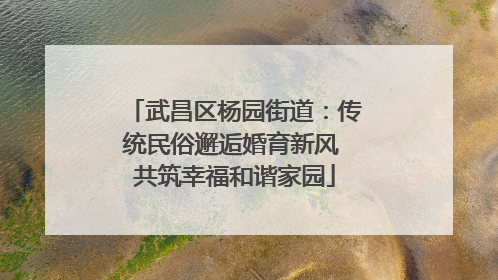 武昌区杨园街道：传统民俗邂逅婚育新风 共筑幸福和谐家园