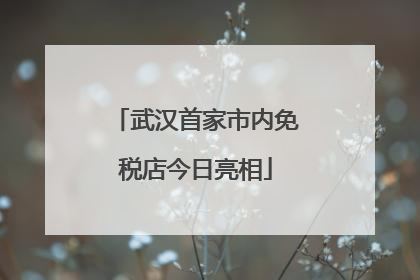 武汉首家市内免税店今日亮相