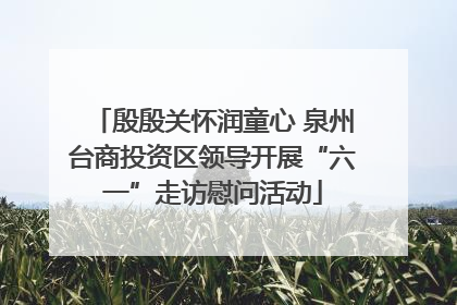 殷殷关怀润童心 泉州台商投资区领导开展“六一”走访慰问活动