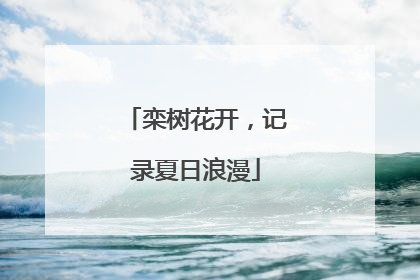 栾树花开，记录夏日浪漫