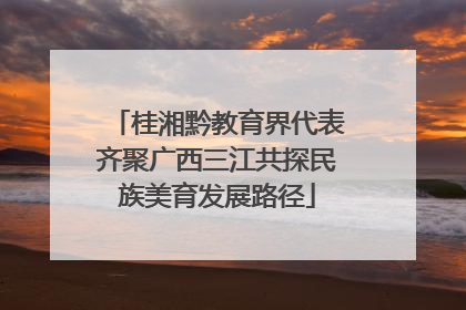 桂湘黔教育界代表齐聚广西三江共探民族美育发展路径