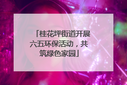 桂花坪街道开展六五环保活动，共筑绿色家园