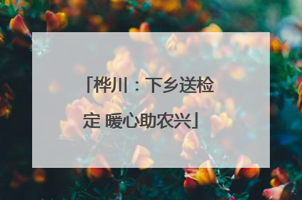 桦川：下乡送检定 暖心助农兴