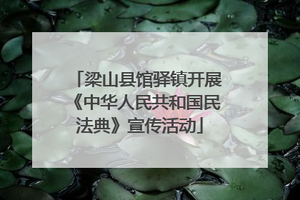 梁山县馆驿镇开展《中华人民共和国民法典》宣传活动