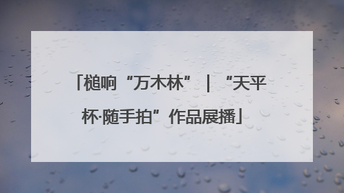 槌响“万木林”｜“天平杯·随手拍”作品展播