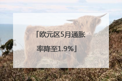 欧元区5月通胀率降至1.9%