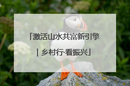 激活山水共富新引擎｜乡村行·看振兴