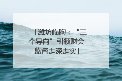 潍坊临朐：“三个导向”引领财会监督走深走实