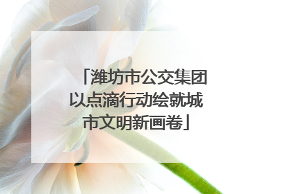 潍坊市公交集团以点滴行动绘就城市文明新画卷
