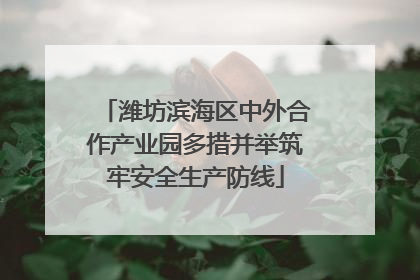 潍坊滨海区中外合作产业园多措并举筑牢安全生产防线