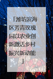潍坊滨海区芳青玫瑰园以农业创新激活乡村振兴新动能
