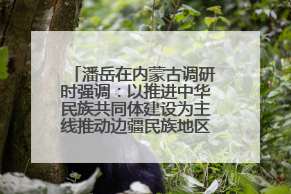 潘岳在内蒙古调研时强调：以推进中华民族共同体建设为主线推动边疆民族地区高质量发展