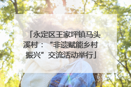 永定区王家坪镇马头溪村：“非遗赋能乡村振兴”交流活动举行