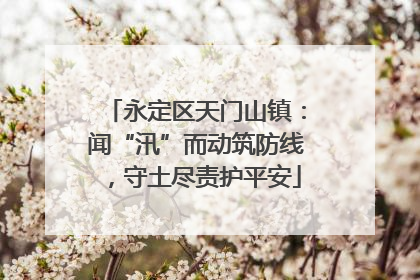 永定区天门山镇：闻“汛”而动筑防线，守土尽责护平安
