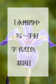 永州四中：写一手好字 传红色基因