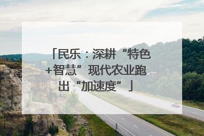 民乐：深耕“特色+智慧”现代农业跑出“加速度”