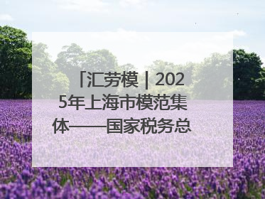 汇劳模｜2025年上海市模范集体——国家税务总局上海市徐汇区税务局第一税务所