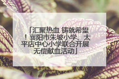 汇聚热血 铸就希望！襄阳市朱坡小学、太平店中心小学联合开展无偿献血活动
