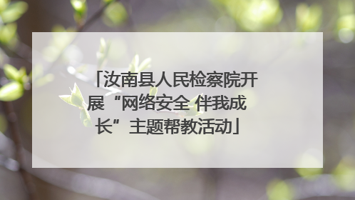 汝南县人民检察院开展“网络安全 伴我成长”主题帮教活动