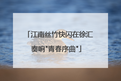 江南丝竹快闪在徐汇奏响