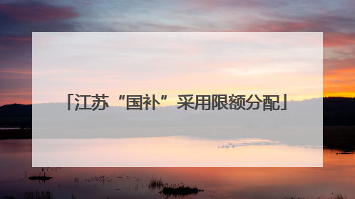 江苏“国补”采用限额分配