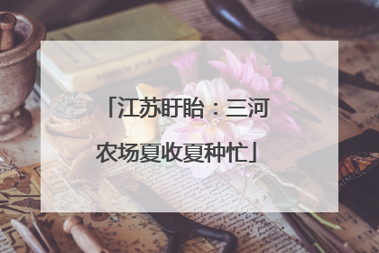 江苏盱眙：三河农场夏收夏种忙