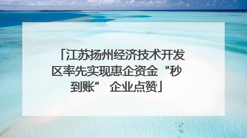 江苏扬州经济技术开发区率先实现惠企资金“秒到账” 企业点赞