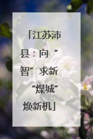 江苏沛县：向“智”求新“煤城”焕新机