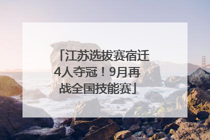 江苏选拔赛宿迁4人夺冠！9月再战全国技能赛