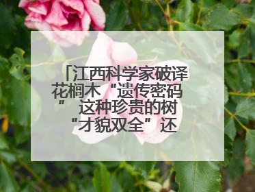 江西科学家破译花榈木“遗传密码” 这种珍贵的树 “才貌双全”还能抗“EMO”