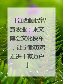江西颐民智慧农业：乘文博会文化快车，让宁都黄鸡走进千家万户