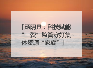 汤阴县：科技赋能“三资”监管守好集体资源“家底”