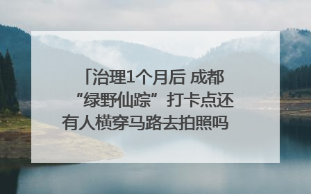 治理1个月后 成都“绿野仙踪”打卡点还有人横穿马路去拍照吗？｜民情瞭望