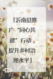沂南县推广“同心共建”行动，提升乡村治理水平