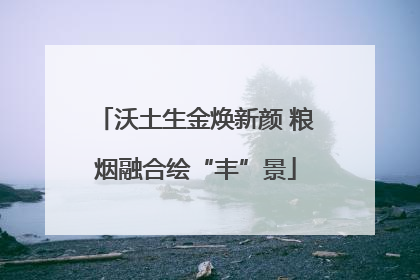 沃土生金焕新颜 粮烟融合绘“丰”景