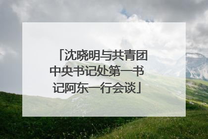 沈晓明与共青团中央书记处第一书记阿东一行会谈