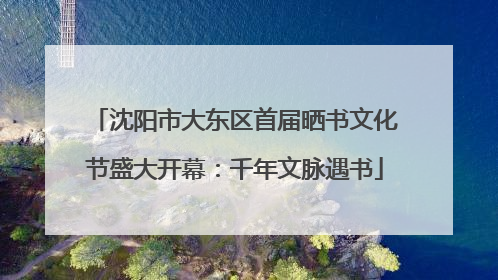 沈阳市大东区首届晒书文化节盛大开幕：千年文脉遇书
