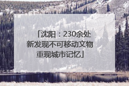沈阳：230余处新发现不可移动文物重现城市记忆