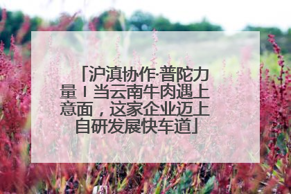 沪滇协作·普陀力量〡当云南牛肉遇上意面，这家企业迈上自研发展快车道