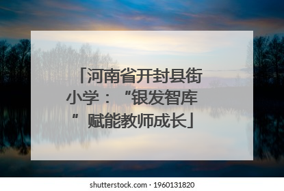 河南省开封县街小学：“银发智库”赋能教师成长