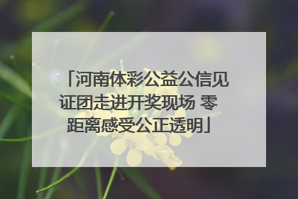 河南体彩公益公信见证团走进开奖现场 零距离感受公正透明
