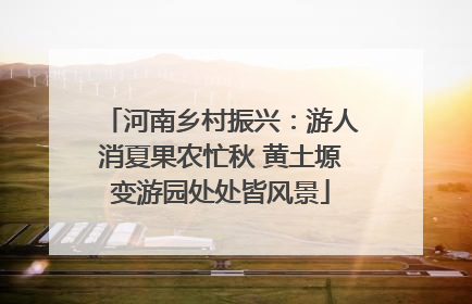 河南乡村振兴：游人消夏果农忙秋 黄土塬变游园处处皆风景
