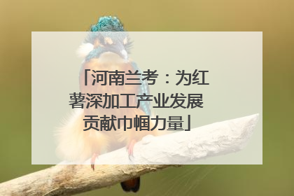 河南兰考：为红薯深加工产业发展贡献巾帼力量