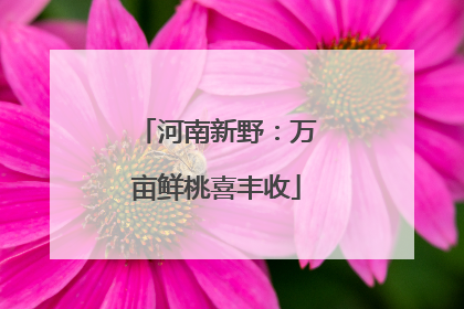 河南新野：万亩鲜桃喜丰收