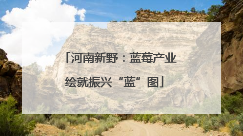 河南新野：蓝莓产业绘就振兴“蓝”图