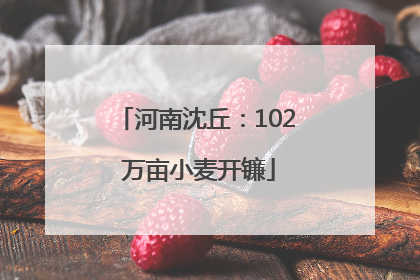 河南沈丘：102 万亩小麦开镰